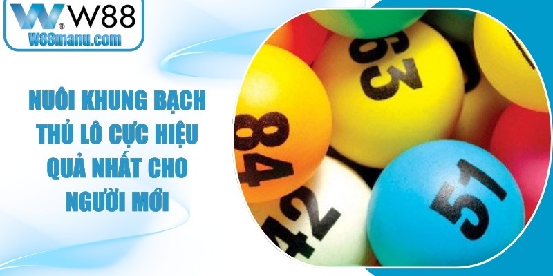 Nuôi Khung Bạch Thủ Lô